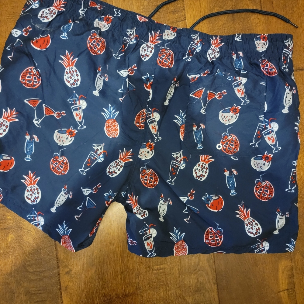 Mens Swim Trunks From Jake Austin Cool Design: Mul View 4